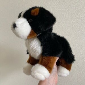 Douglas Stevie Bernese Mountain Dog